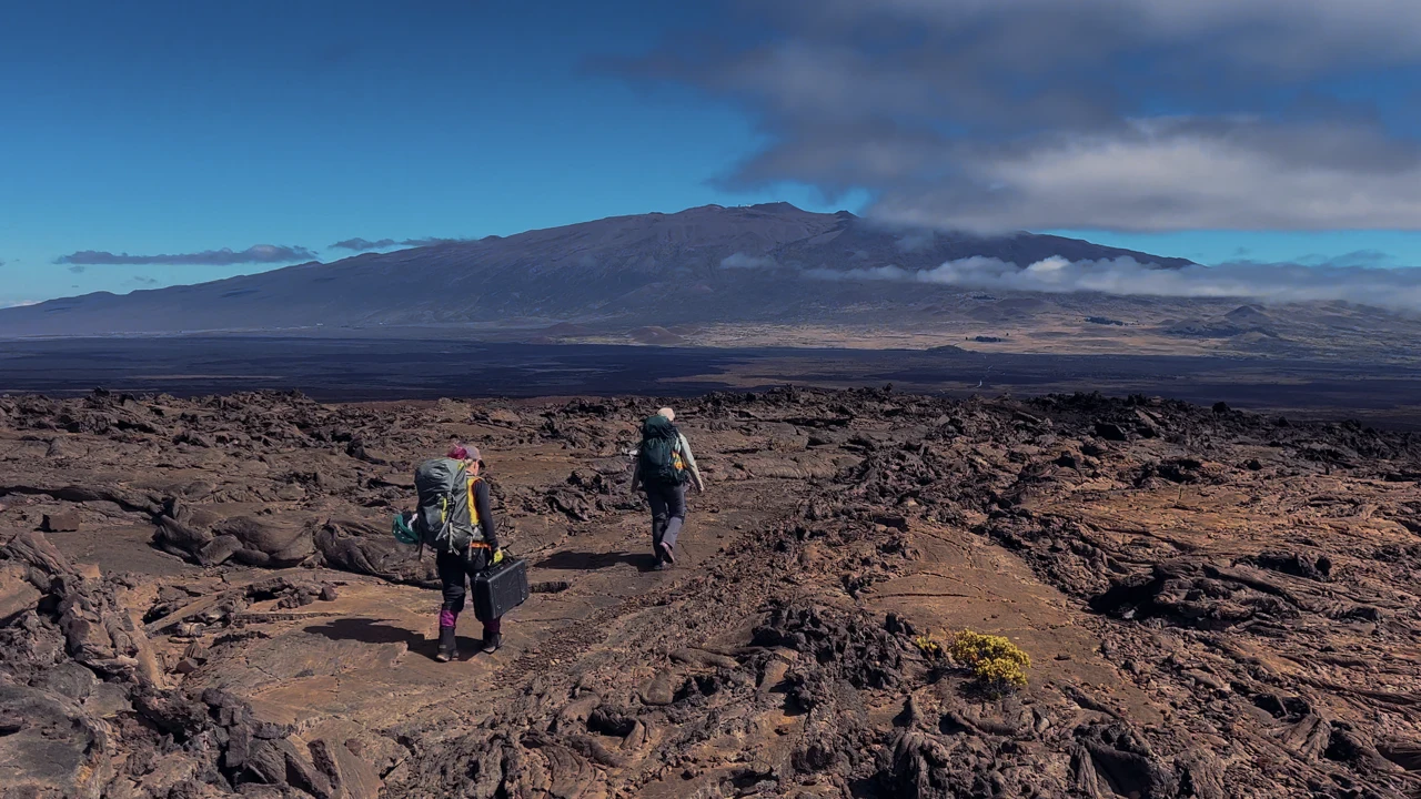 Our Alien Earth: The Lava Tubes of Mauna Loa, Hawai’i artwork